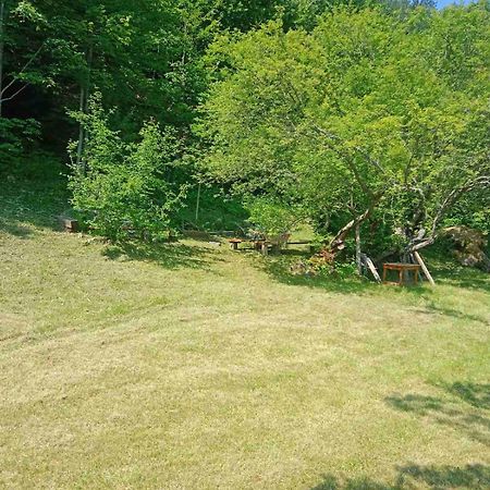 Apartmani Rocen Zabljak  Exterior photo